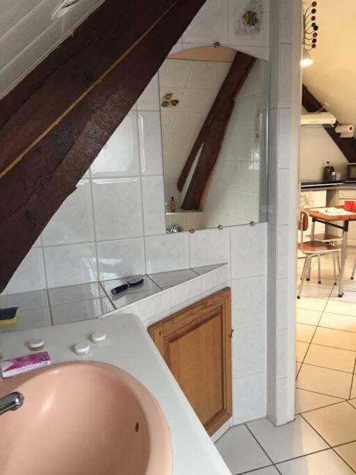 Logement Cosy Et Lumineux Auxerre Dış mekan fotoğraf